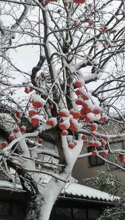 2013-01-03 11.07.48-1.jpg